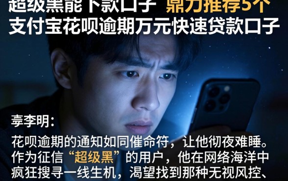 超级黑能下款的口子，鼎力推荐5个支付宝花呗逾期万元快速贷款口子