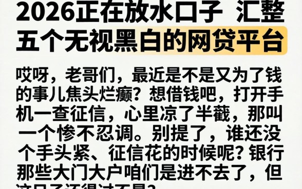 2026正在放水口子,汇整五个无视黑白的网贷平台