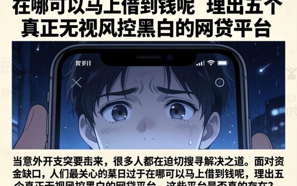 在哪可以马上借到钱呢，理出五个真正无视风控黑白的网贷平台