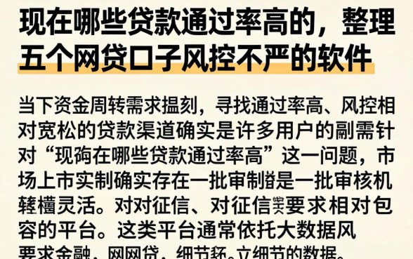 现在哪些贷款通过率高的,整理五个网贷口子风控不严的软件