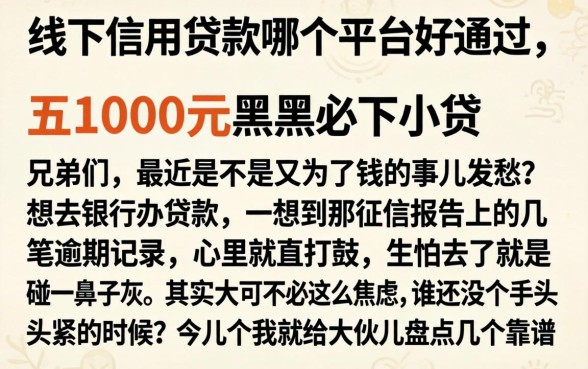 线下信用贷款哪个平台好通过,枚举五个1000元黑户必下小贷