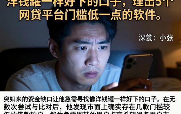 洋钱罐一样好下的口子，理出5个网贷平台门槛低一点的软件