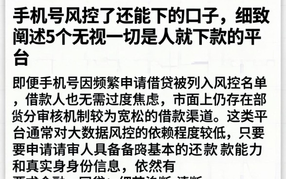 手机号风控了还能下的口子,细致阐述5个无视一切是人就下款的平台