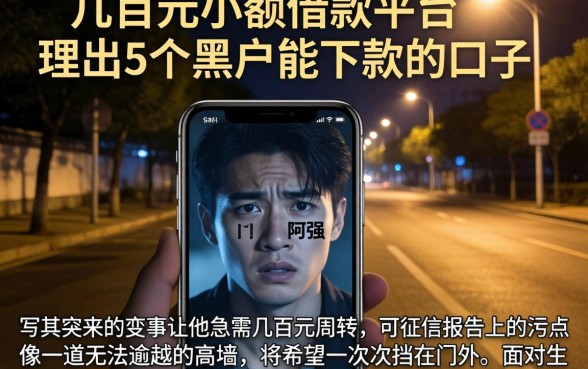 几百元小额借款平台，理出5个黑户能下款的口子