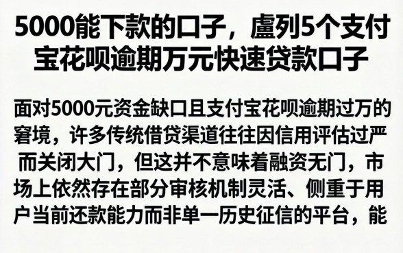 5000能下款的口子，胪列5个支付宝花呗逾期万元快速贷款口子