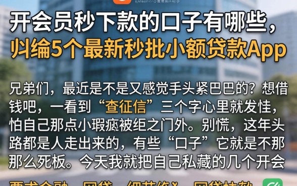 开会员秒下款的口子有哪些,归纳5个最新秒批小额贷款app