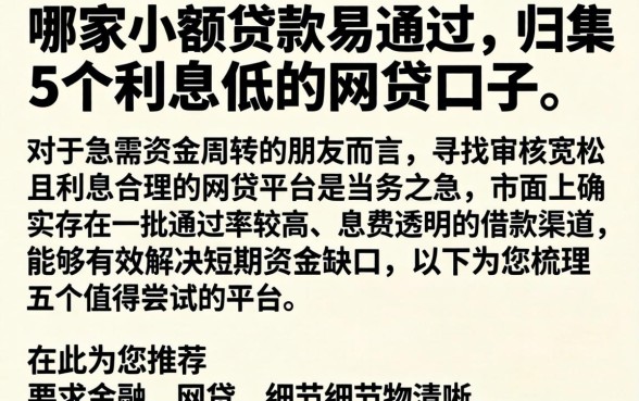 哪家小额贷款易通过，归集5个利息低的网贷口子