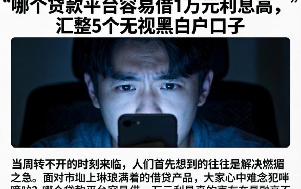哪个贷款平台容易借一万元利息高，汇整5个无视黑白户口子