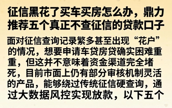 征信黑花了买车买房怎么办，鼎力推荐五个真正不查征信的贷款口子