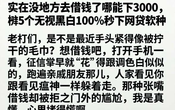 实在没地方去借钱了哪能下3000，枚举5个无视黑白100%秒下网贷软件