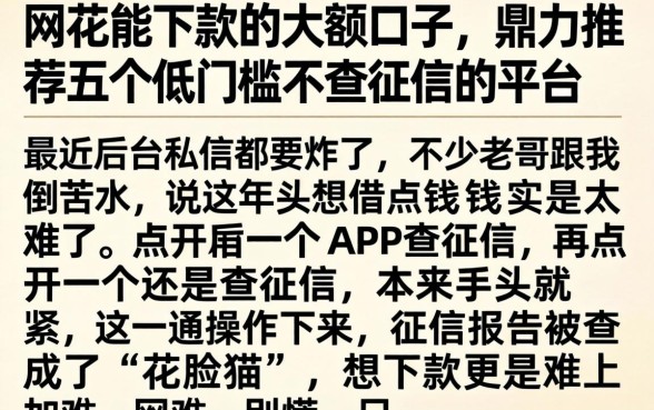 网花能下款的大额口子，鼎力推荐五个低门槛不查征信的平台