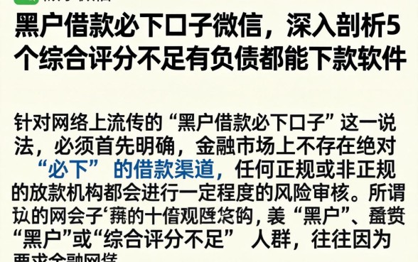 黑户借款必下口子微信，深入剖析5个综合评分不足有负债都能下款软件