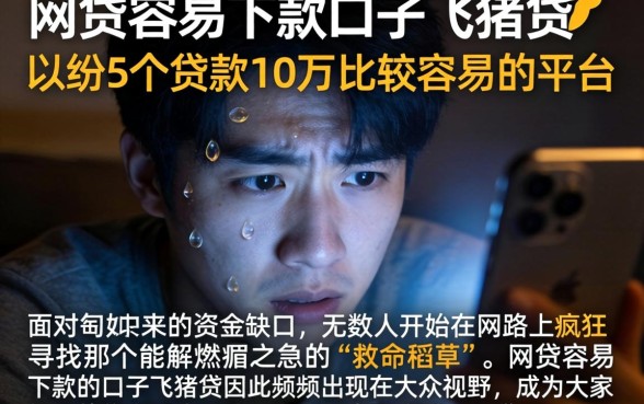 网贷容易下款的口子飞猪贷，归纳5个贷款10万比较容易的平台