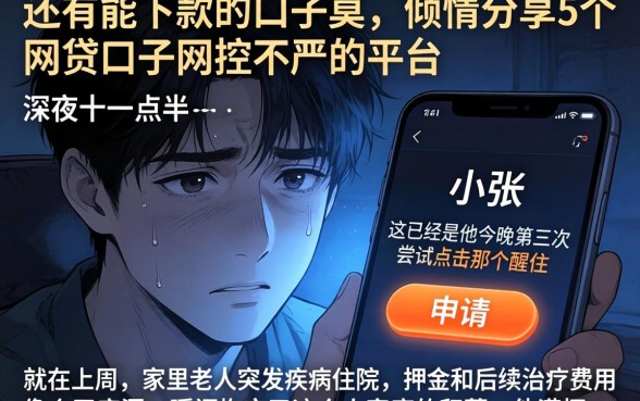 还有能下款的口子莫，倾情分享5个网贷口子风控不严的平台