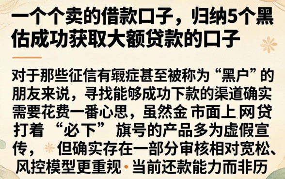 一个个卖的借款口子，归纳5个黑户成功获取大额贷款的口子