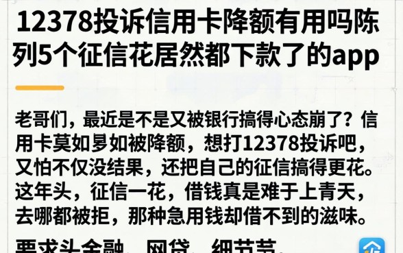 12378投诉信用卡降额有用吗，陈列5个征信花居然都下款了的app