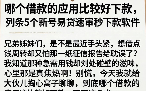 哪个借款的应用比较好下款，条列5个新号易贷速审秒下款软件