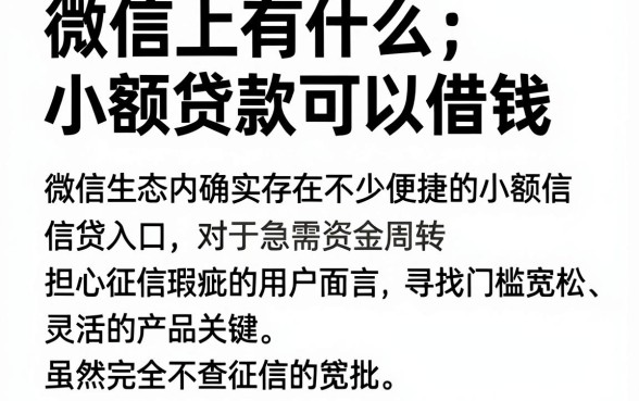 微信上有什么小额贷款可以借钱，概括5个小额贷款不查征信的平台