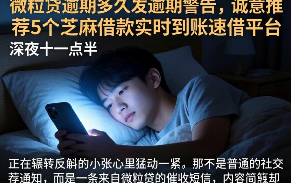 微粒贷逾期多久发逾期警告，诚意推荐5个芝麻借款实时到账速借平台