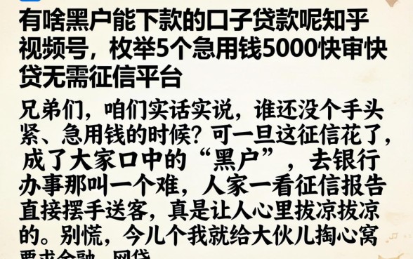 有啥黑户能下款的口子贷款呢知乎视频号,枚举5个急用钱5000快审快贷无需征信平台
