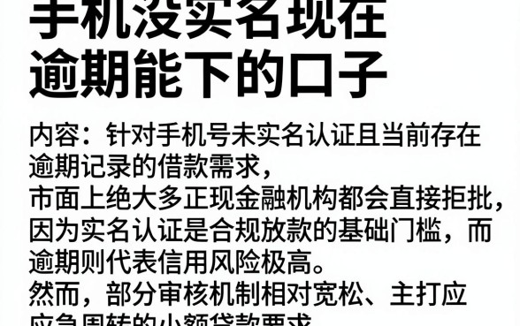 手机没实名现在逾期能下的口子，概览五个网贷无视不查征信软件