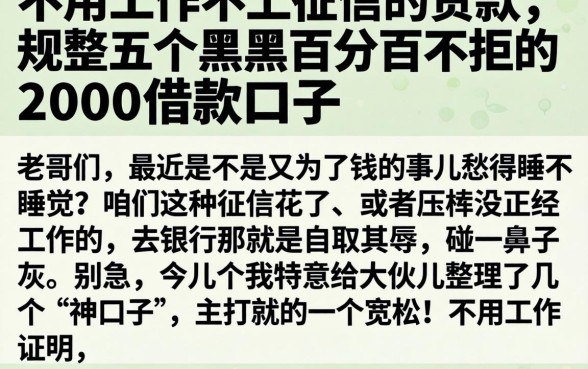 不用工作不上征信的贷款，规整五个黑户百分百不拒的2000借款口子