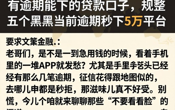 有逾期能下的贷款口子，规整五个黑户当前逾期秒下5万平台