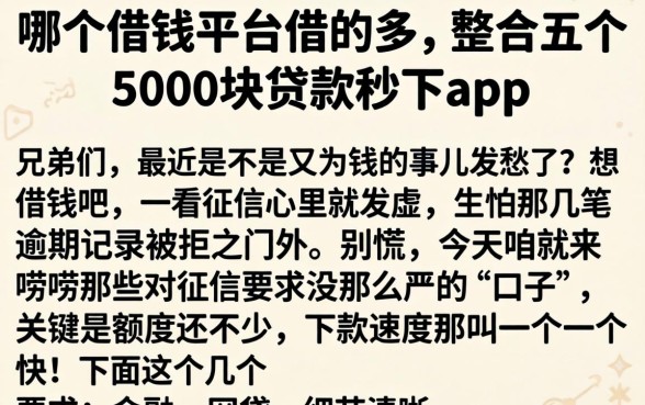 哪个借钱平台借的多,整合五个5000块贷款秒下app