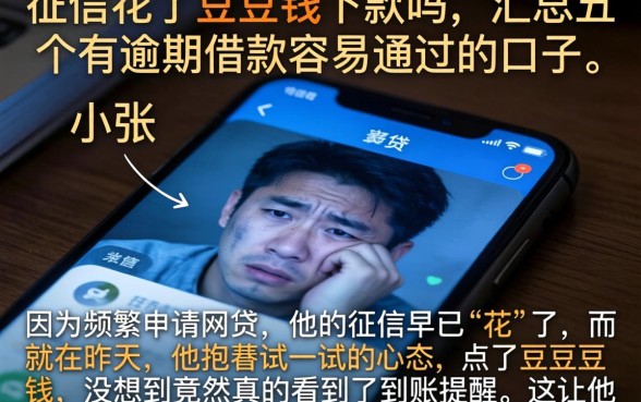 征信花了豆豆钱下款吗,汇总五个有逾期借款容易通过的口子
