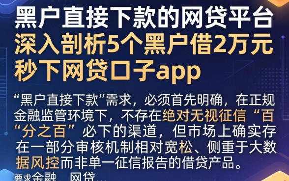 黑户直接下款的网贷平台,深入剖析5个黑户借2万元秒下网贷口子app