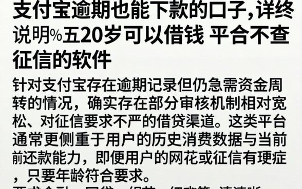 支付宝逾期也能下款的口子，详尽说明五个20岁可以借钱平台不查征信的软件