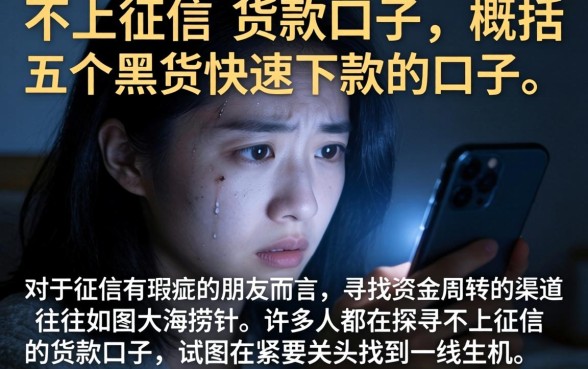 不上征信的货款口子，概括五个黑户快速下款的口子