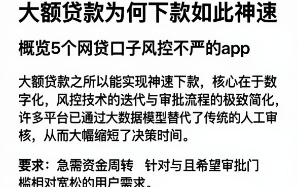 大额贷款为何下款如此神速，概览5个网贷口子风控不严的app
