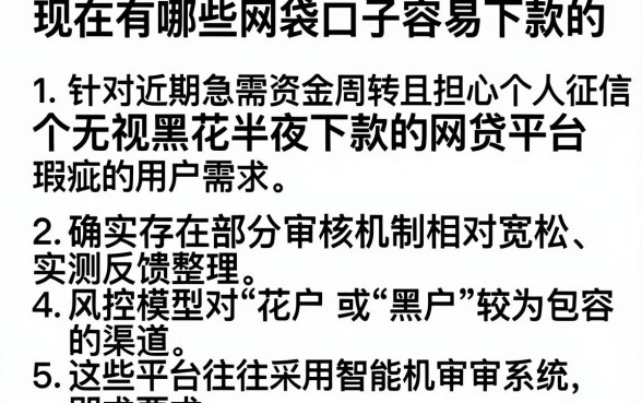现在有哪些网袋口子容易下款的，细致阐述5个无视黑花半夜下款的网贷平台