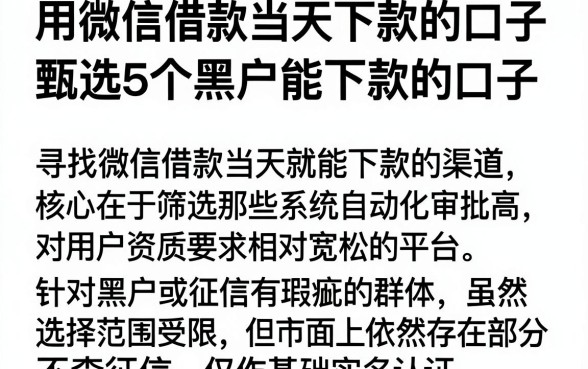 用微信借款当天下款的口子，甄选5个黑户能下款的口子