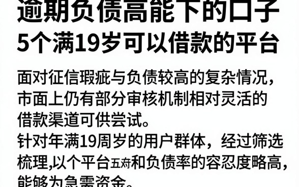 逾期负债高能下的口子，理出5个满19岁可以借款的平台