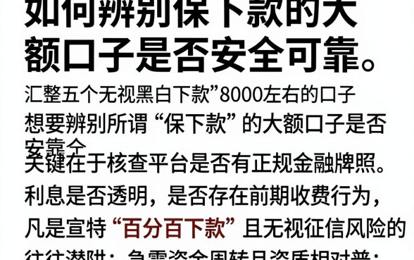 如何辨别保下款的大额口子是否安全可靠,汇整五个无视黑白下款8000左右的口子