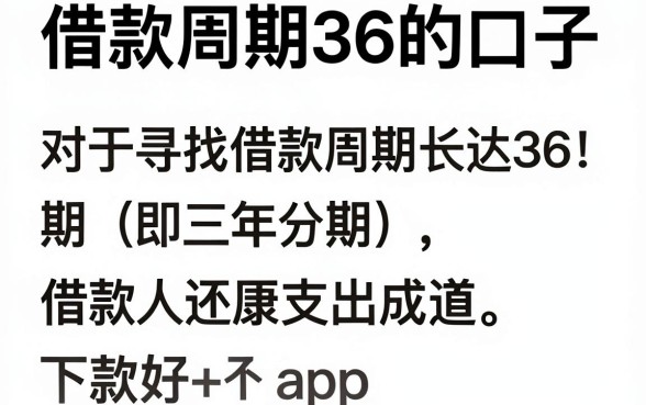 借款周期36的口子,枚举5个借款好下款的app