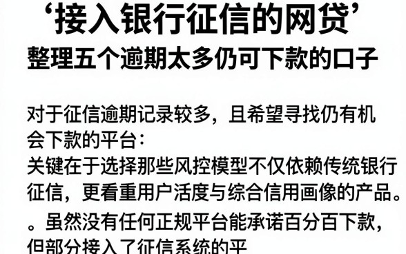 接入银行征信的网贷,整理五个逾期太多仍可下款的口子
