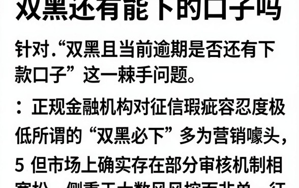 双黑还有能下的口子吗，枚举5个黑户当前逾期秒下5万平台
