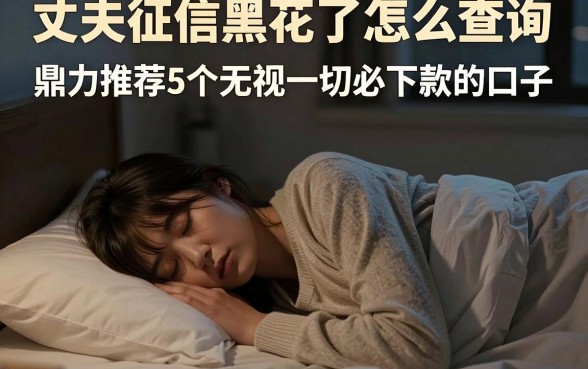 丈夫征信黑花了怎么查询,鼎力推荐5个无视一切必下款的口子