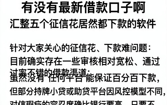 有没有最新借款口子啊,汇整五个征信花居然都下款的软件