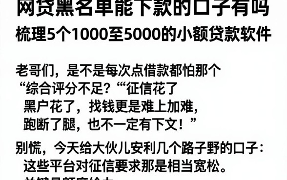 网贷黑名单能下款的口子有吗，梳理5个1000至5000的小额贷款软件