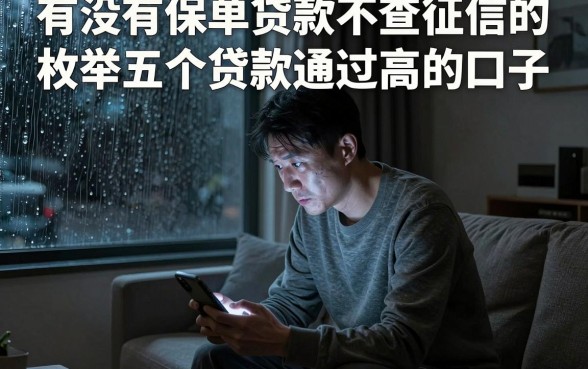 有没有保单贷款不查征信的,枚举五个贷款通过高的口子