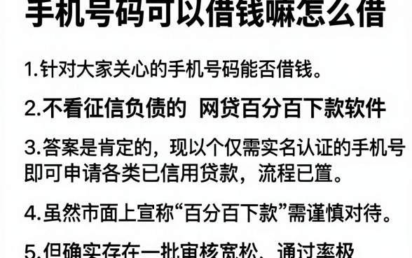 手机号码可以借钱嘛怎么借，详细阐述五个不看征信负债的网贷百分百下款软件