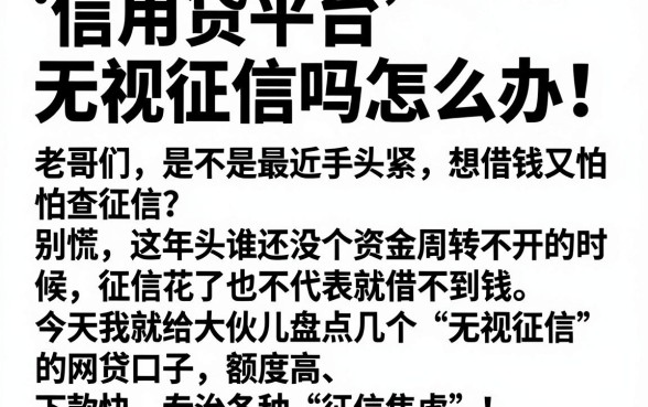信用贷平台无视征信吗怎么办,规整五个714无视逾期秒下的口子
