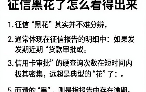 征信黑花了怎么看得出来，概括5个分期有额度的网贷口子