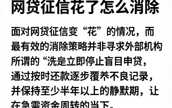 网贷征信花了怎么消除，详尽说明五个利息低的网贷软件