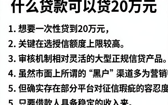 什么贷款可以贷20万元,罗列五个黑户借款口子
