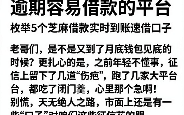逾期容易借款的平台，枚举5个芝麻借款实时到账速借口子